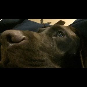 Meet your Posher, Jacob